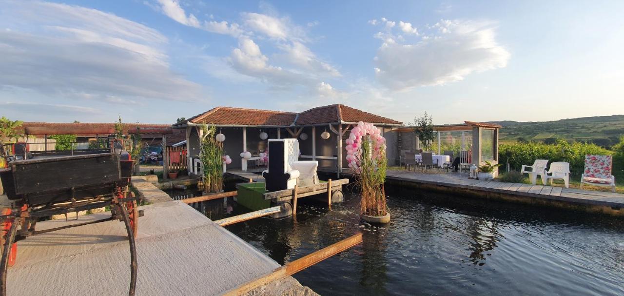 Apartmani Bojeresku Negotin Exterior foto